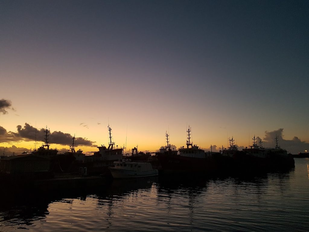 Société du Port de Pêche de Papeete (S3P)