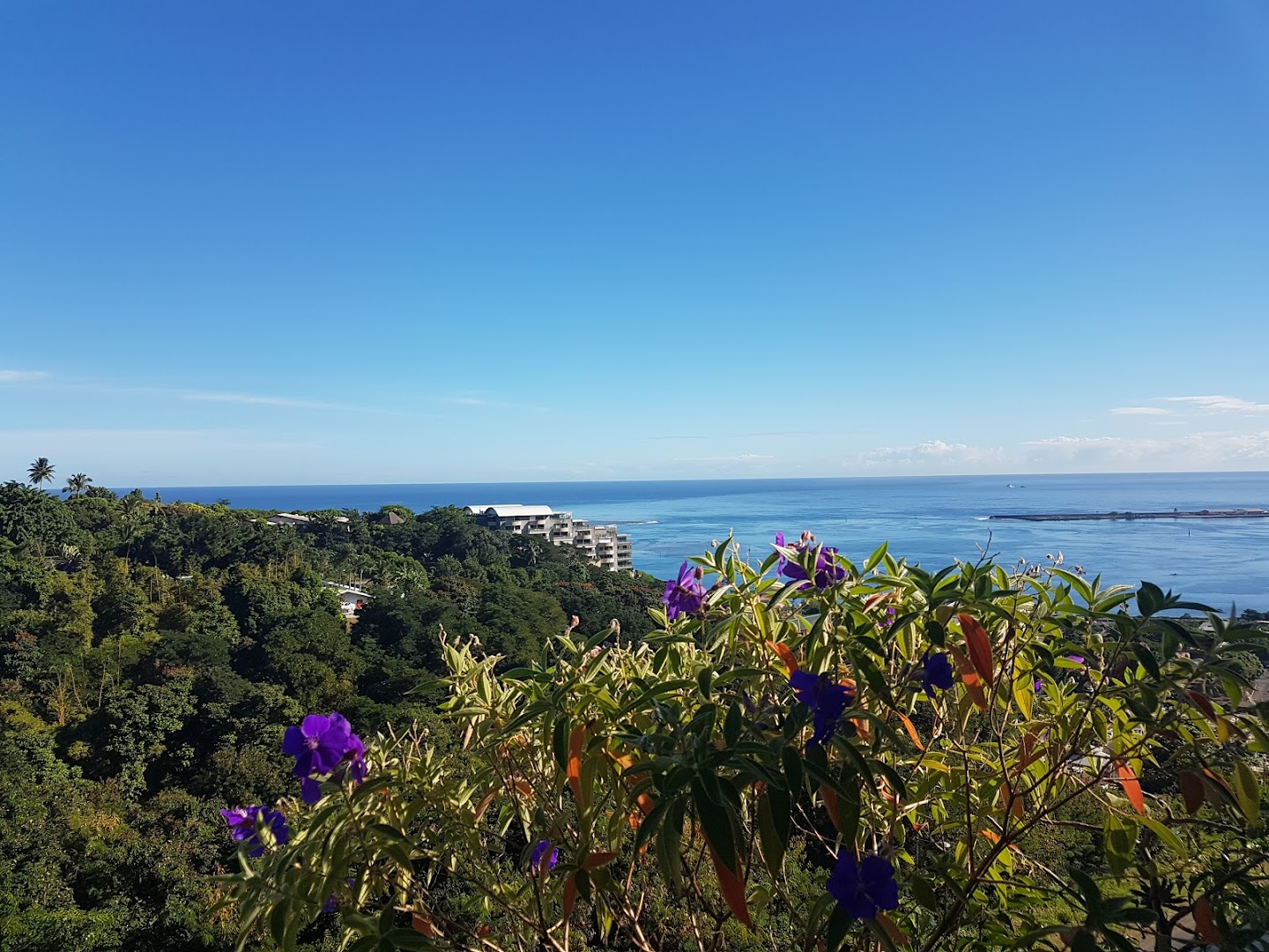 Studio Vaiana by Tahiti Homes Appartement de vacances   uranie adresse postale BP380 730 Tamanu 98718 Punaauia papeete