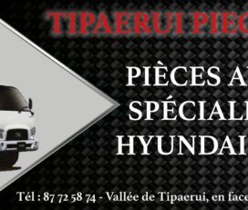 TIPAERUI PIECES