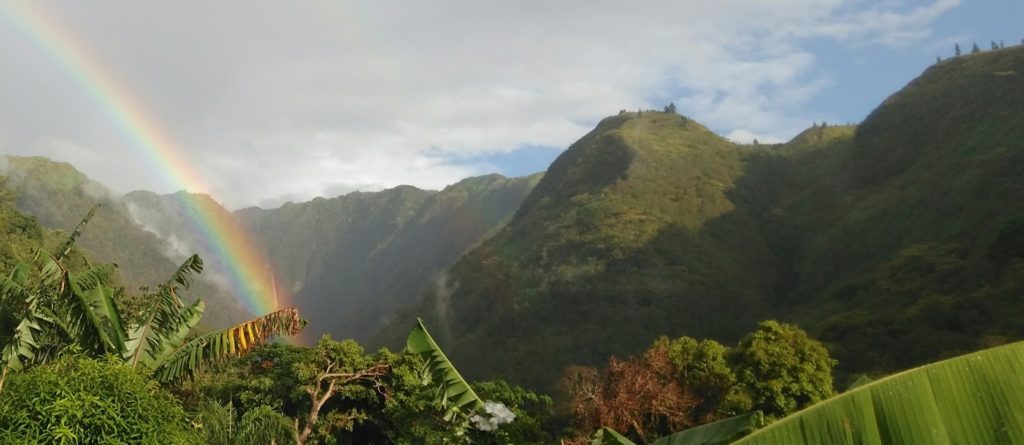 Ta’apuna — photo 4