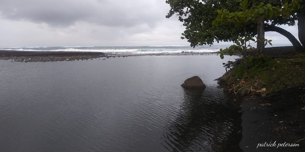 Taharuu Surf Lodge — photo 2