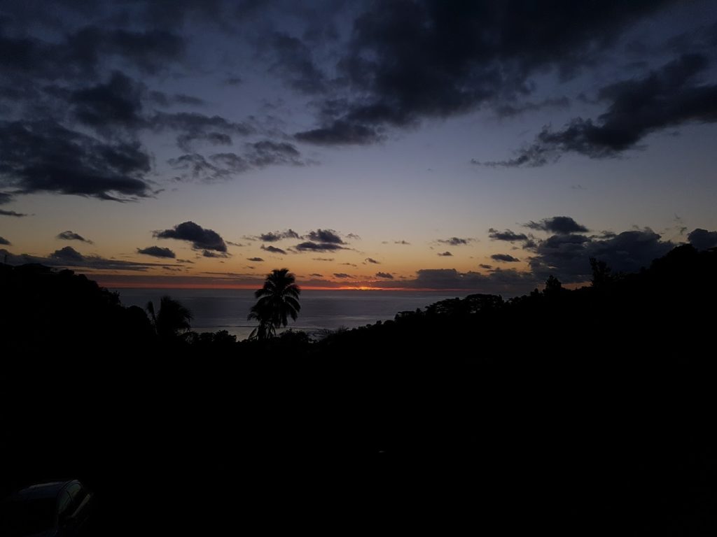 Tahiti Island Seafood
