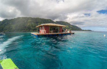 Tahiti iti pearl farm