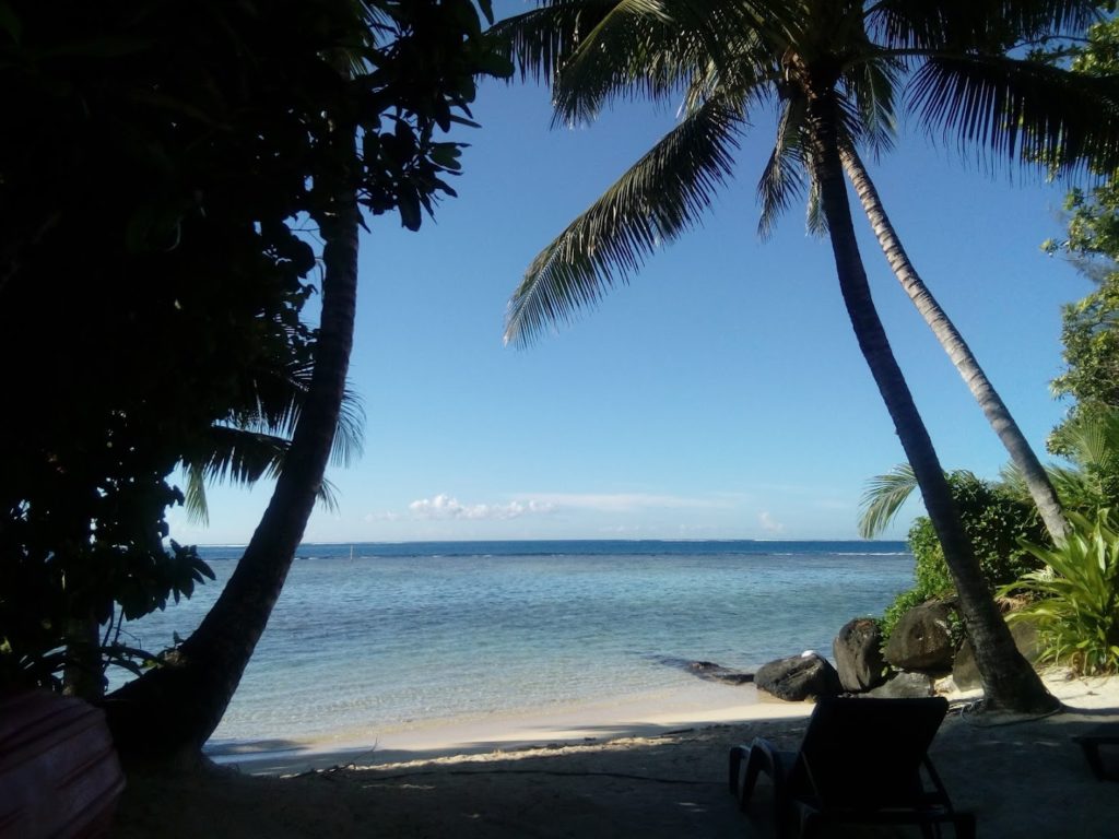 Tamanu