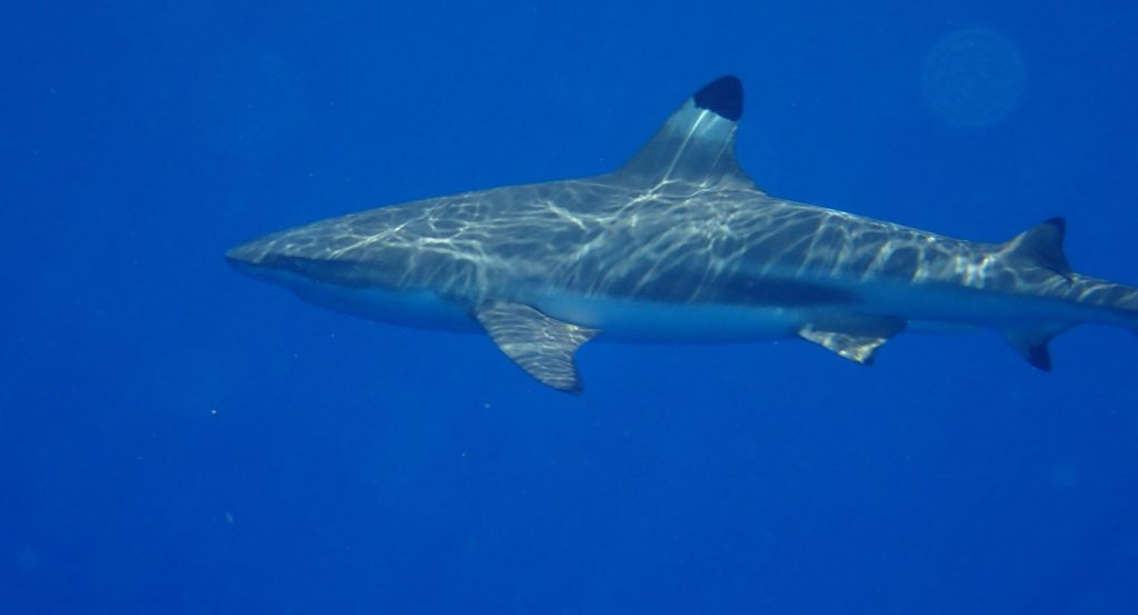 Tetiaroa