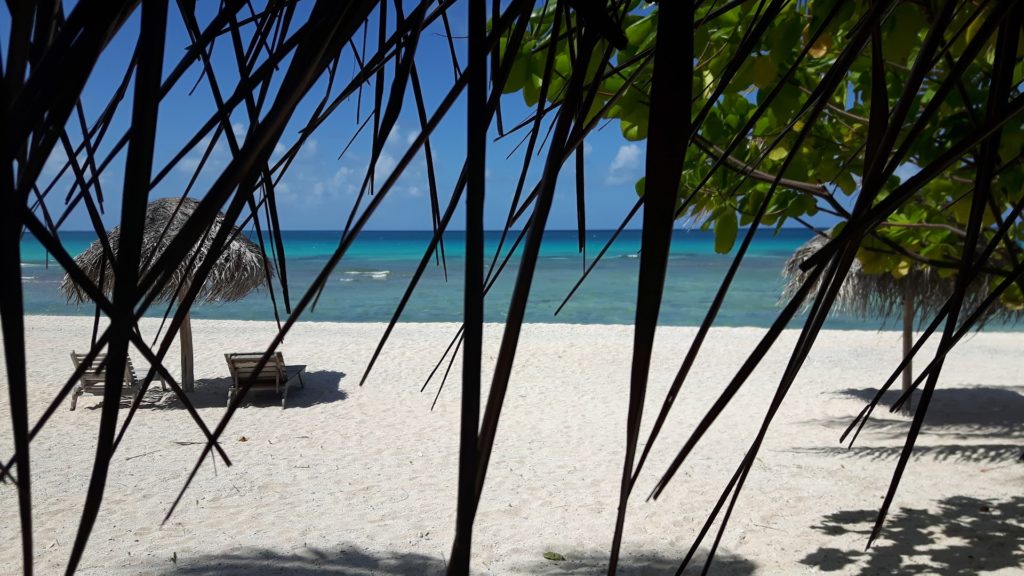 Tikehau Village — photo 6