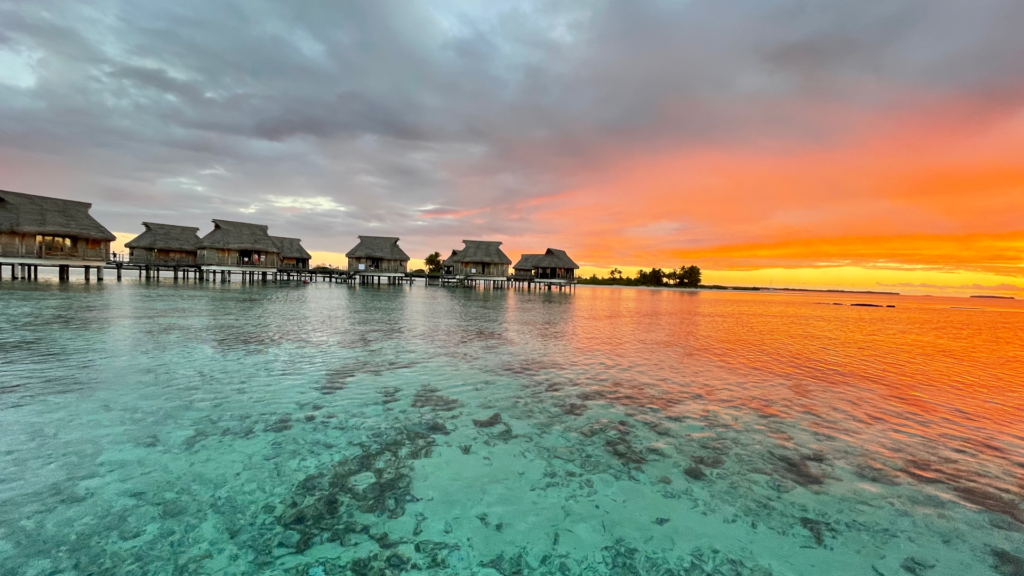 Tikehau plongée Diving center