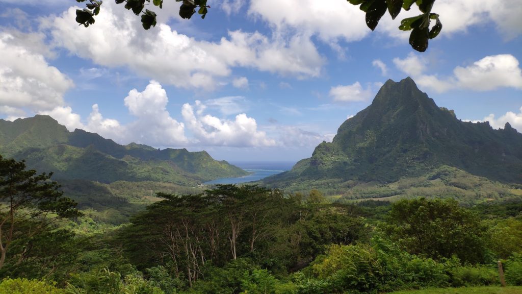 Torea Nui Transports & Activités Moorea