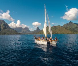 Vaapiti tours