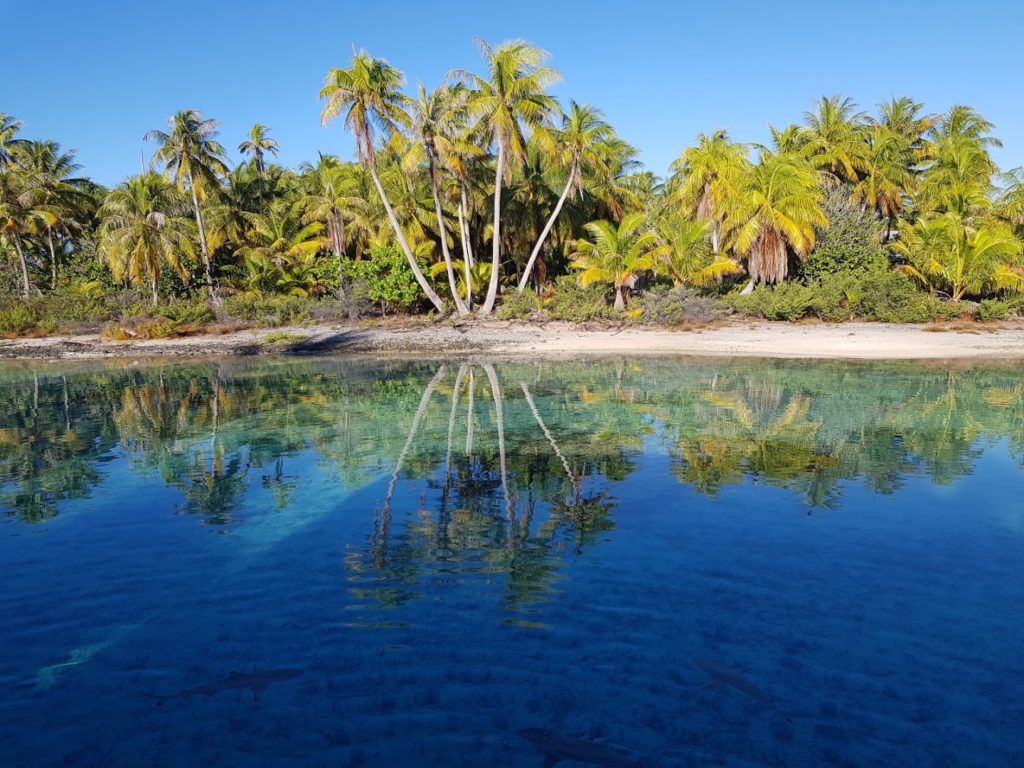 e-Tahiti Travel — photo 2
