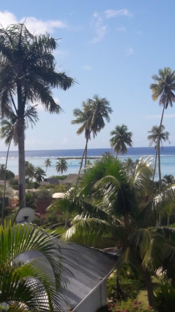 la paillote de moorea — photo 3
