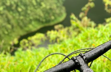 Ride in Tahiti – Location de vélos