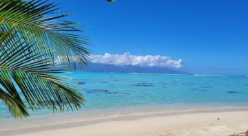 Tenanua Beach House, petit coin de paradis face à Tahiti.
Au bord d’un lagon cristallin, l’endroit idéal pour savourer pleinement la douceur et la simplicité de la Polynésie.